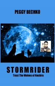 STORMRIDER-PBK-cover-final