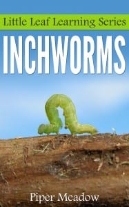 Inchworms-large