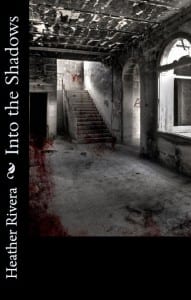 Cover-Preview-Into-the-shadows