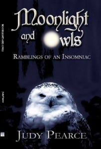 moonlight-and-owls2
