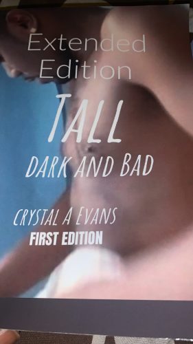 Picture of Tall Dark and Bad cover.