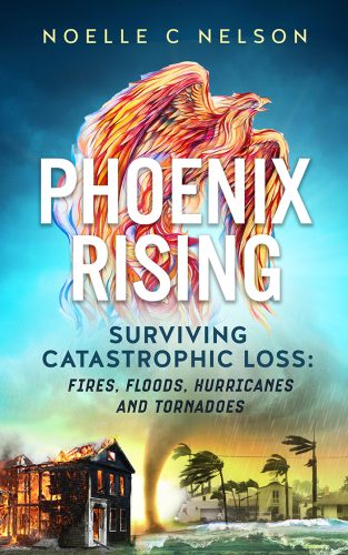 Phoenix Rising - Surviving Catastrophic Loss, Fires, Floods, Hurricanes and Tornadoes