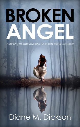 Broken Angel by Diane M Dickson